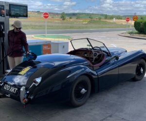 Muttley — Loud, Hot, and Absolutely Worth It