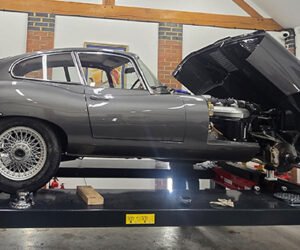 Miss Eleanor — Before the Trip